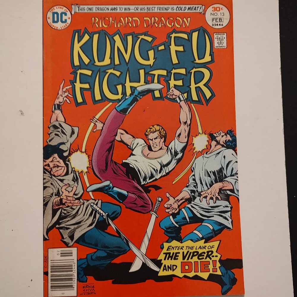 RICHARD DRAGON KUNG FU FIGHTER #13 Written by Denny O'Neil Art by Ric Estrada